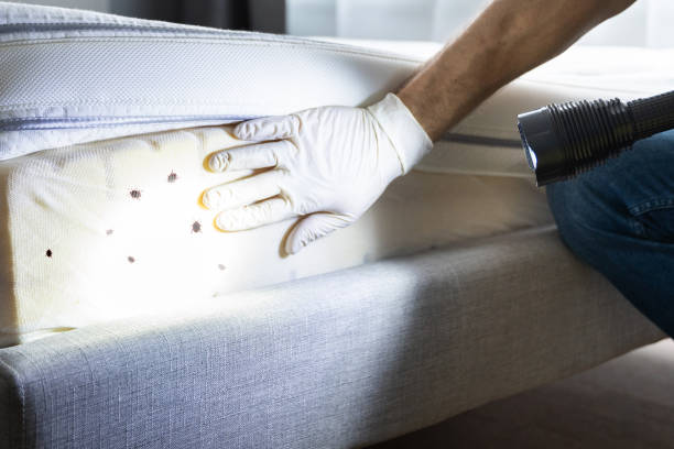 Professional Pest Control in Oakland City, IN