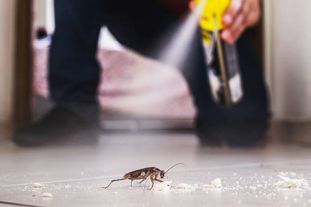 Best Affordable Pest Control Services  in Oakland City, IN