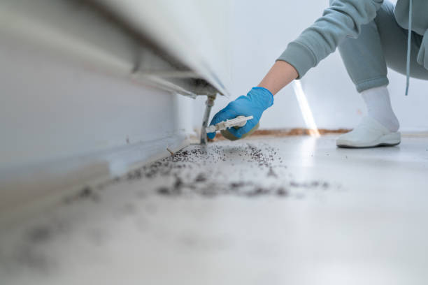 Best Wildlife Control Services  in Oakland City, IN